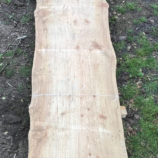 groot onbewerkt sitkaspar schaaldeel