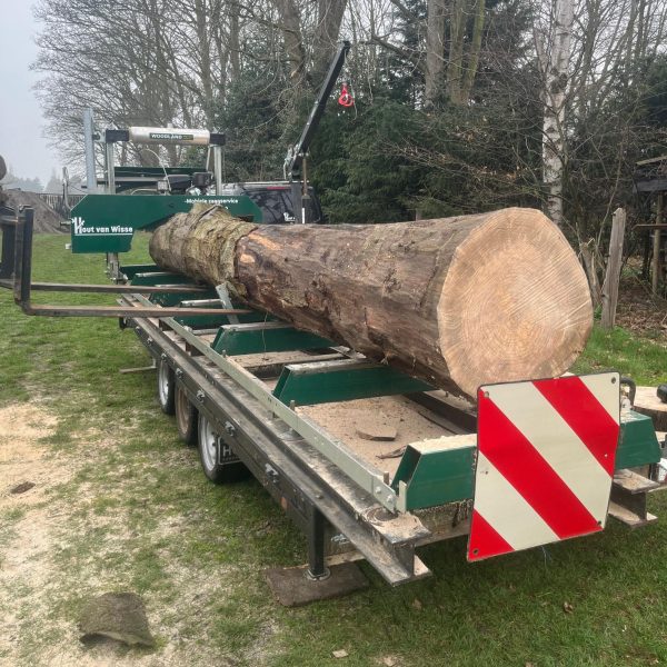 grote eiken stam op de mobiele lintzaag